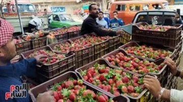 تباين أسعار الفاكهة في أسواق القليوبية اليوم الإثنين الموافق 9-3-2026